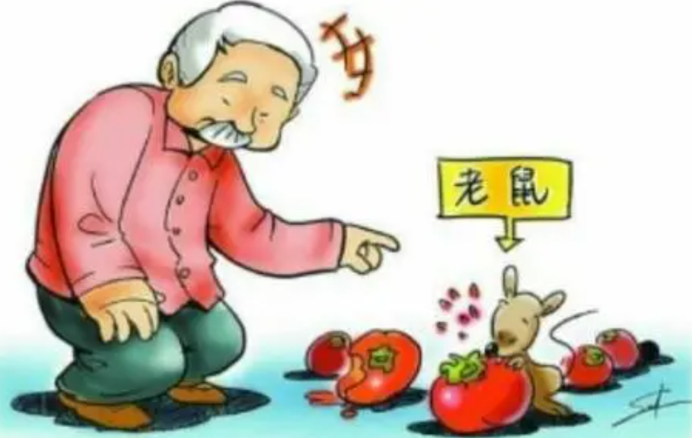 市疾控中心：十一月健康信息提示 新冠肺炎防控依然不能放松警惕(图7)