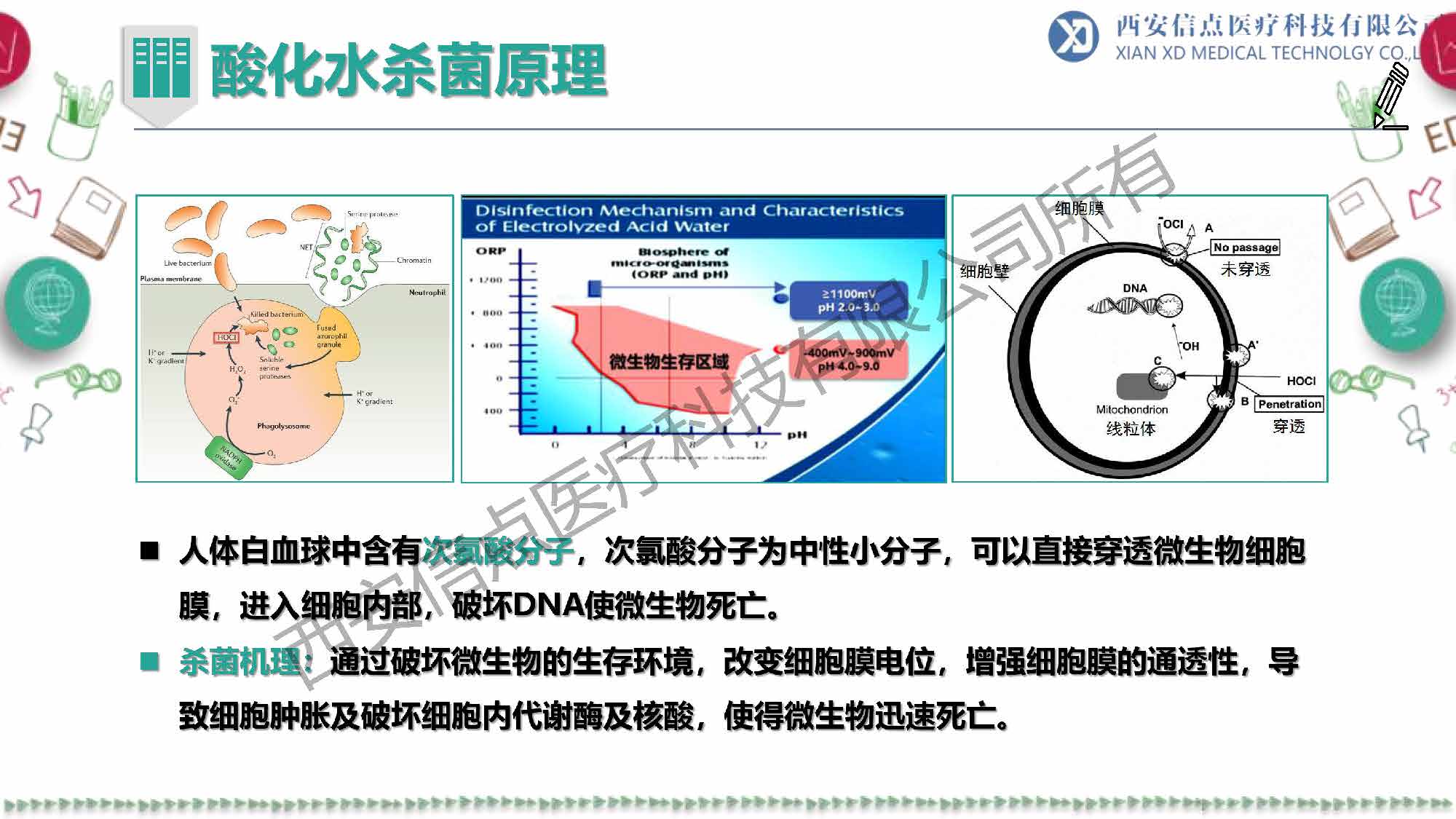 教育领域(图10)