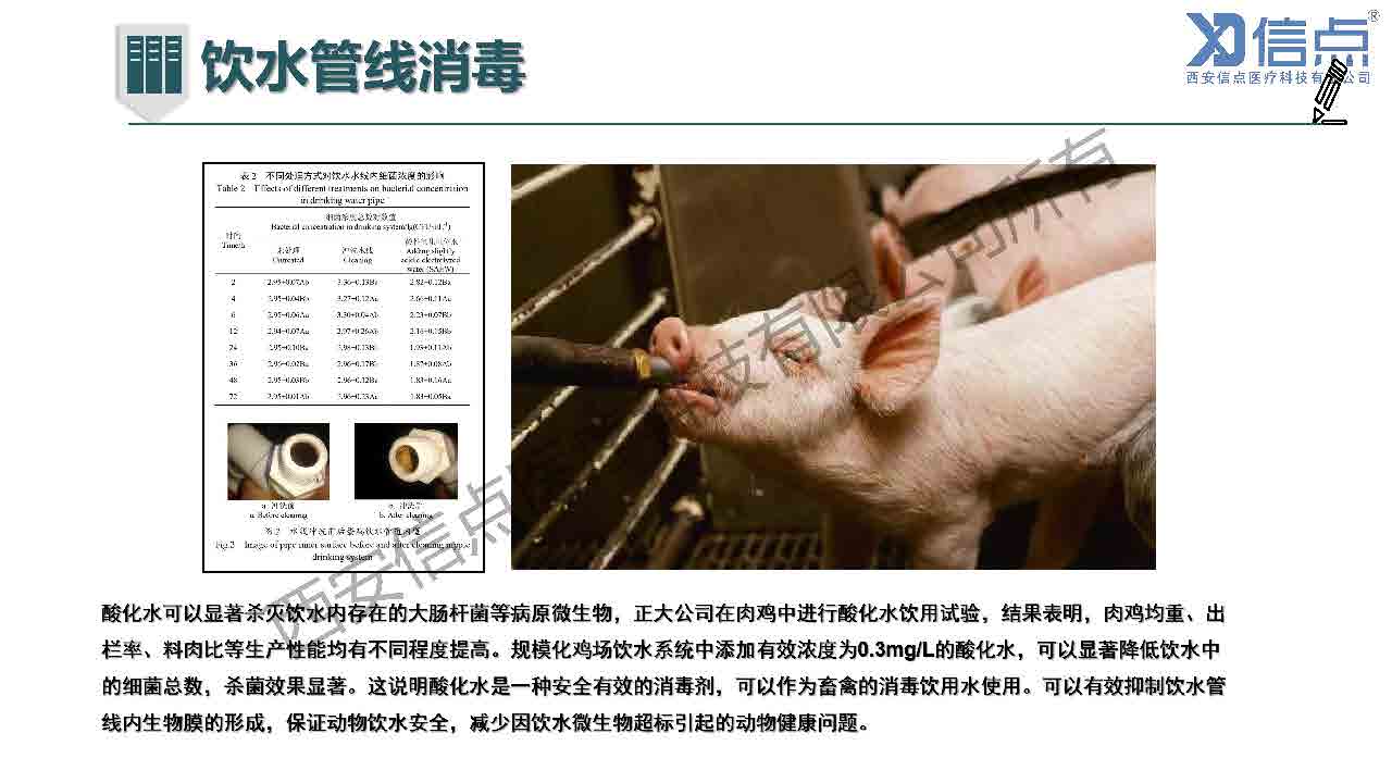 畜牧养殖业酸化水&微酸水消毒解决方案(图26)