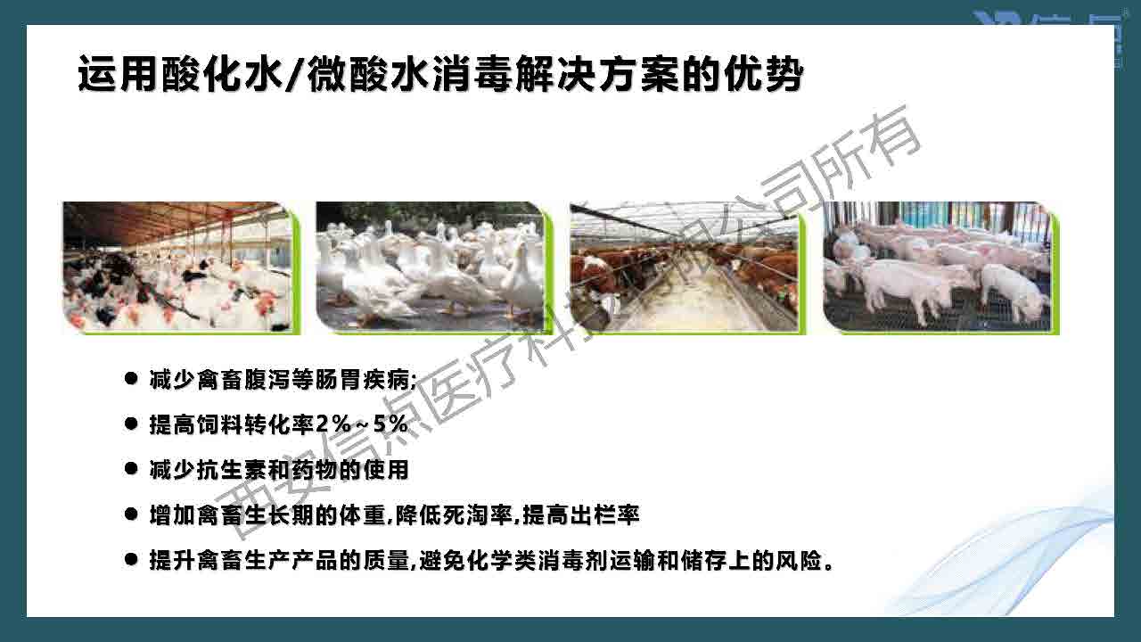 畜牧养殖业酸化水&微酸水消毒解决方案(图35)