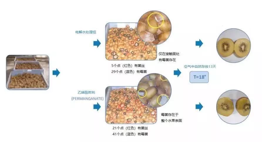 净菜处理(图5)