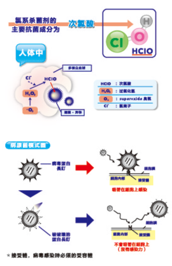 宠物美容(图2)