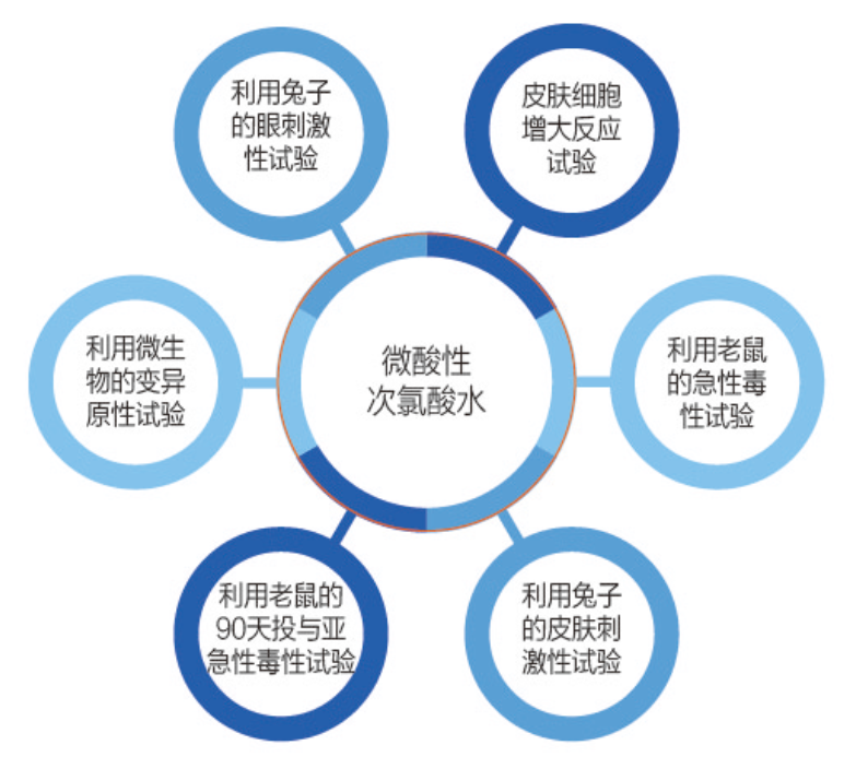 宠物美容(图4)