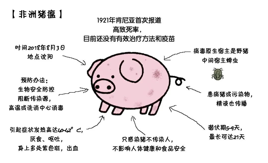 酸性电解水杀灭非洲猪瘟病毒切实有效(图3)
