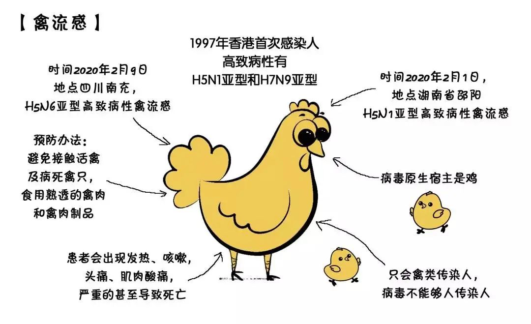 酸性电解水杀灭非洲猪瘟病毒切实有效(图5)