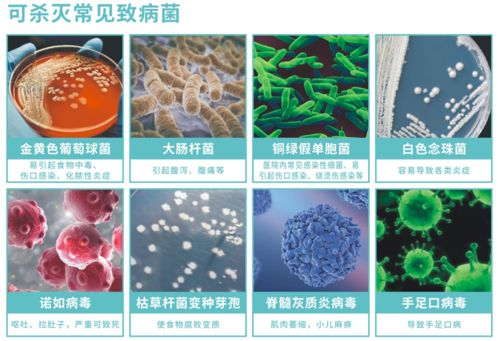 25升XD牌次氯酸消毒液(图2)
