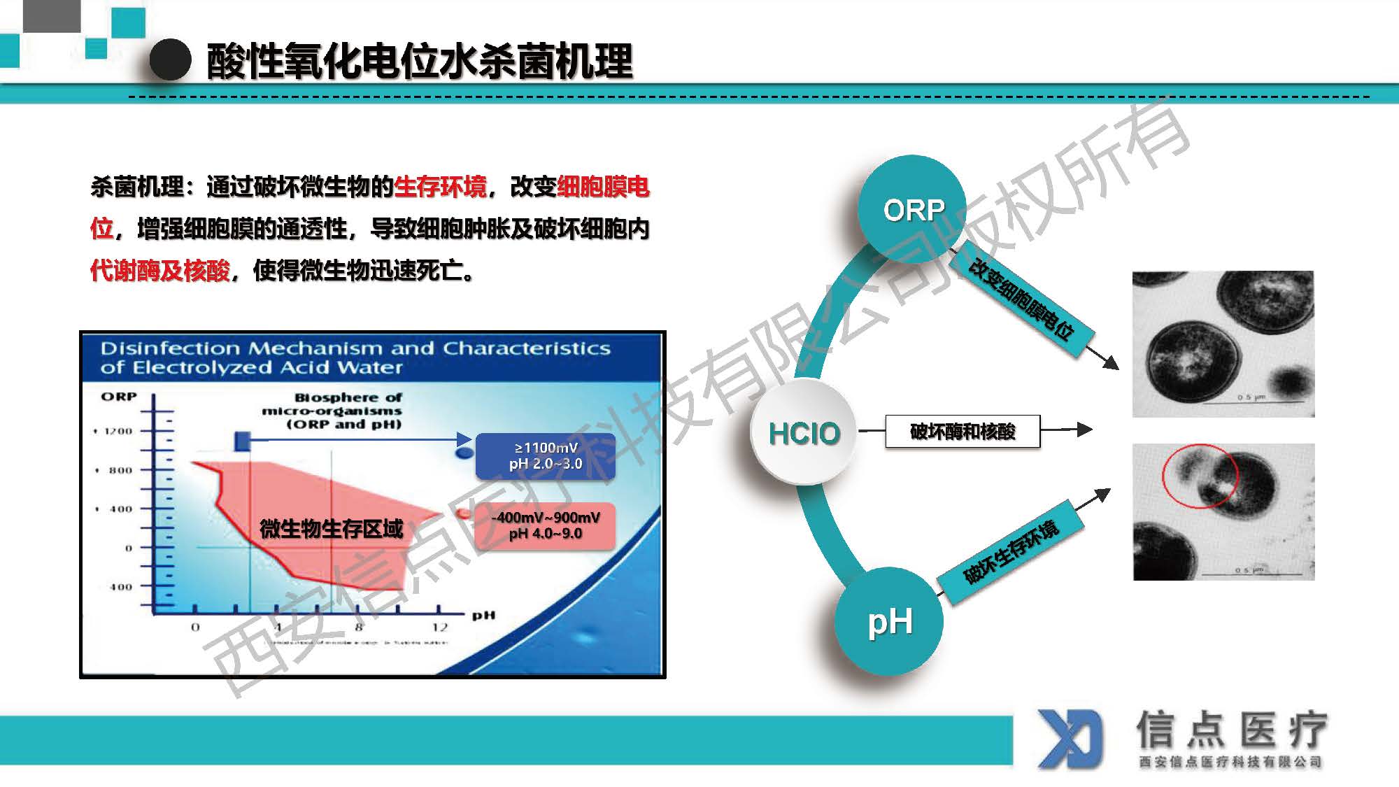 酸性氧化电位水生成器产品介绍(图11)
